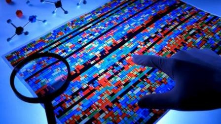 Arriva la Banca dati del DNA per le persone scomparse. Presidente La Scala: “Una vittoria dell’Associazione Penelope”